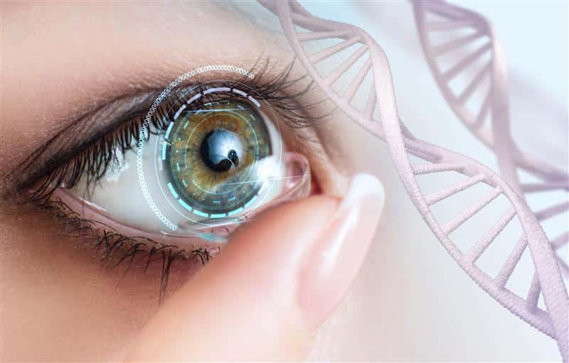 Contact Lens Fitting: A Complete Guide to Getting the Perfect Fit